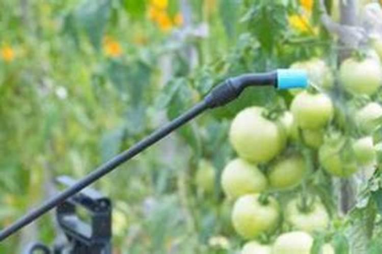 绿肥是怎样制作的？