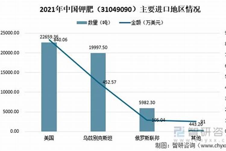 国投罗钾在南疆夏季开展了什么主题的市场活动？