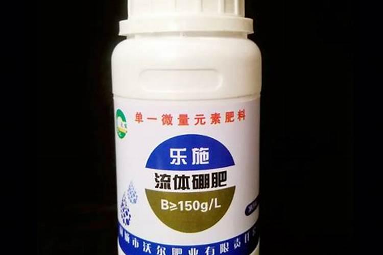 火龙果种植要施什么肥料