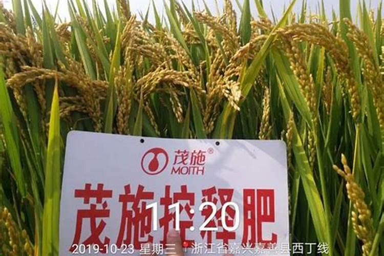 安阳全丰生物科技有限公司怎么样？