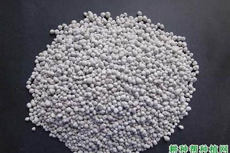 黑龙江土壤属于什么土壤