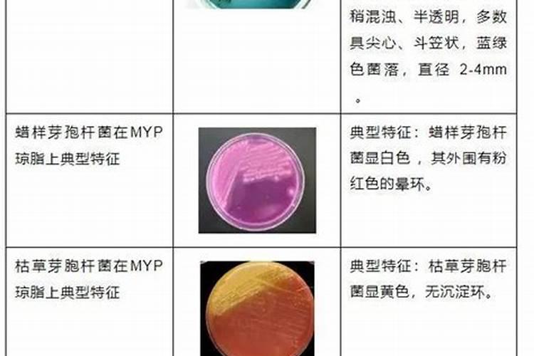 什么时间给油菜追肥 用什么肥料追多少