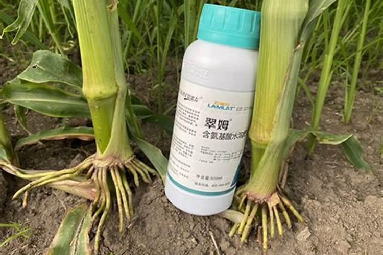 玉米控释肥使用方法