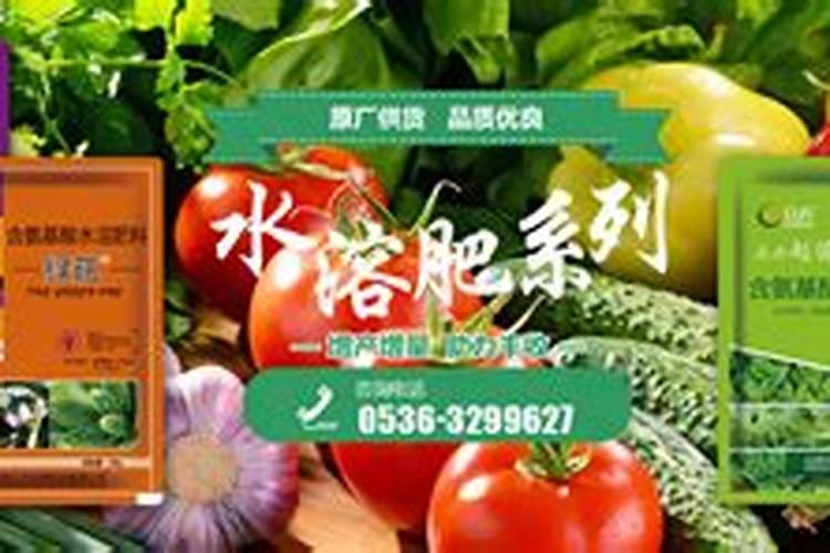 草木灰与铵态氮肥为什么不能混合