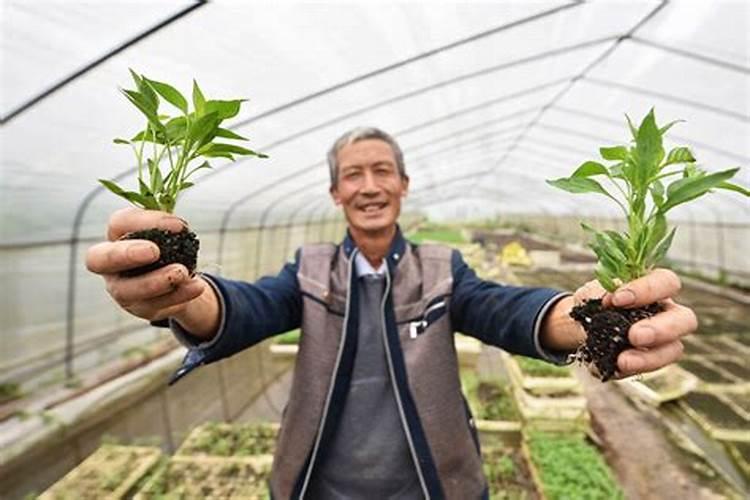 油菜种下去多久追肥最好