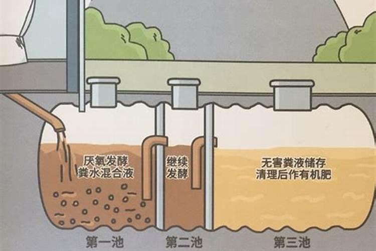 鸡粪与猪粪相比哪个肥效好