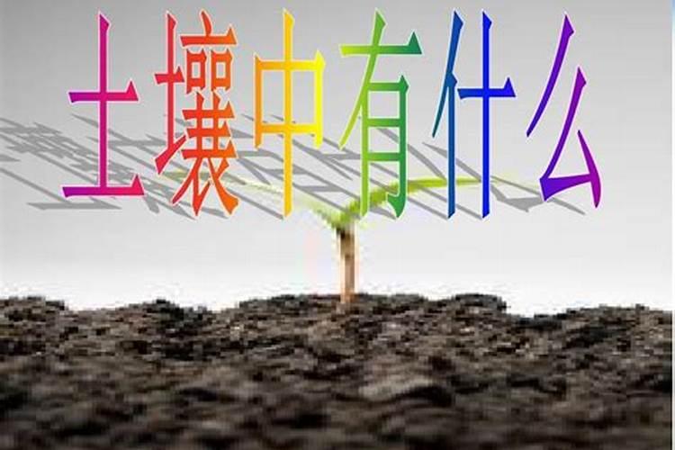 在刚用熟石灰改良的酸性土壤中不能施用任何氮肥？