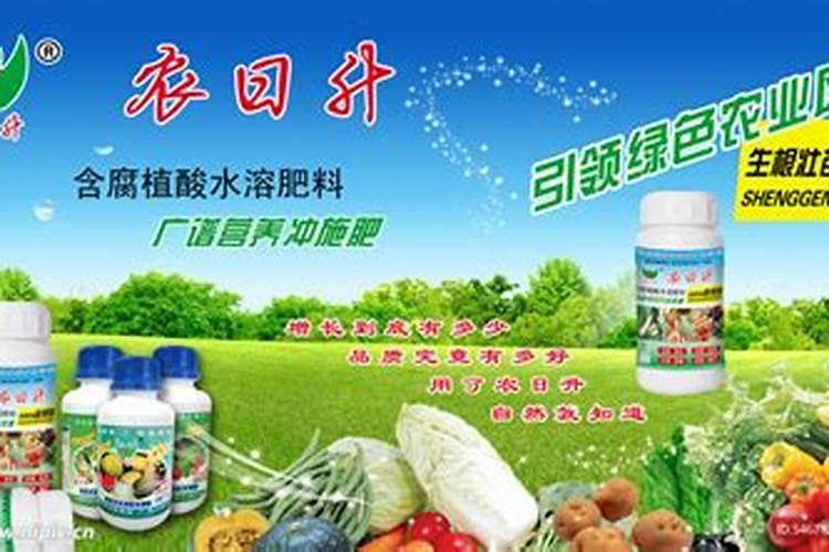 葡萄流体硼过量葡萄穗轴出现褐色