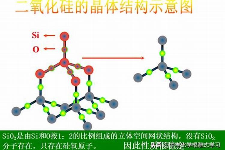 西红柿与辣椒种在一起可以吗
