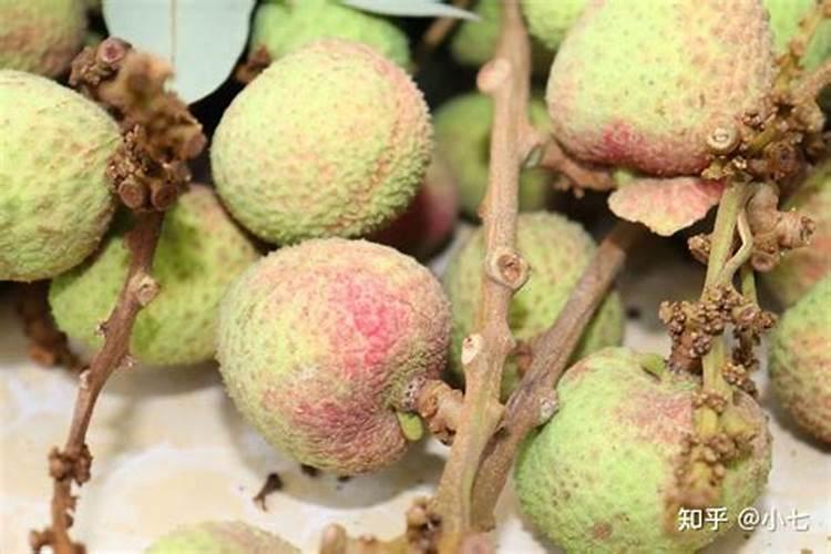 荔枝保果期用那种钾肥好