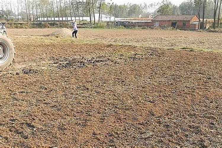 小麦底肥一亩地使多少二胺？