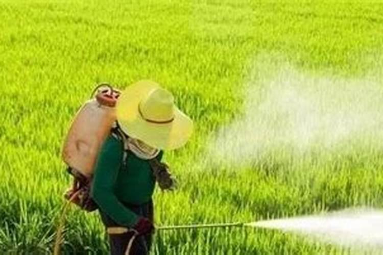 叶面肥原料的性质是什么 4.5%高效氯氰菊酯 芳香杀虫效果好