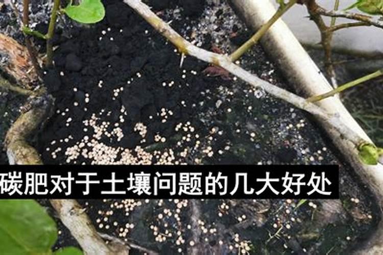 草木灰是钾肥还是磷肥