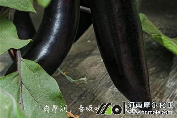 茄子开花期需施什么肥