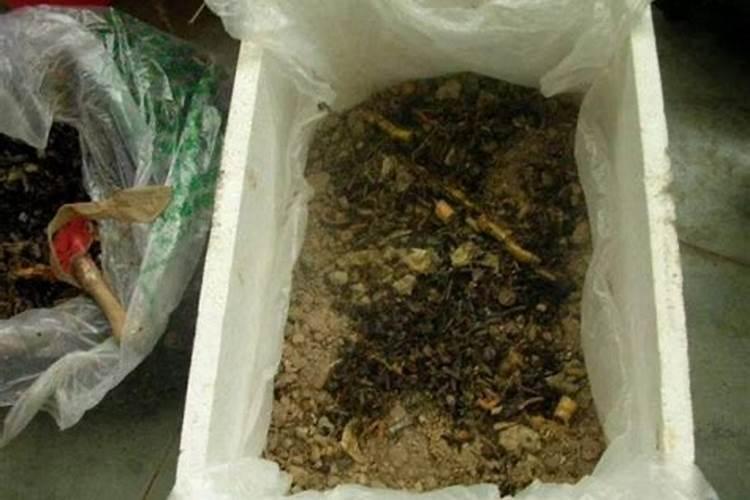 喷浆玉米皮可以做肥料吗