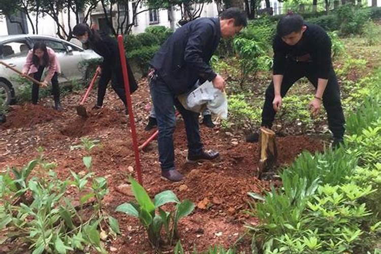养的花肥料放多了怎么办