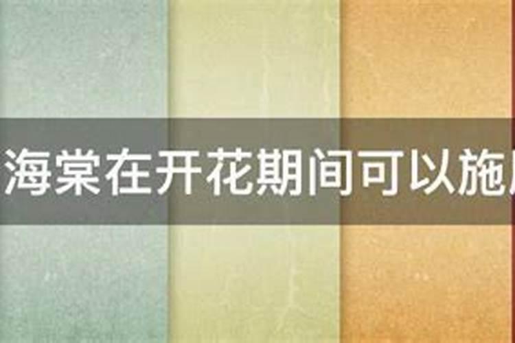 复合肥能给兰花浇水吗？