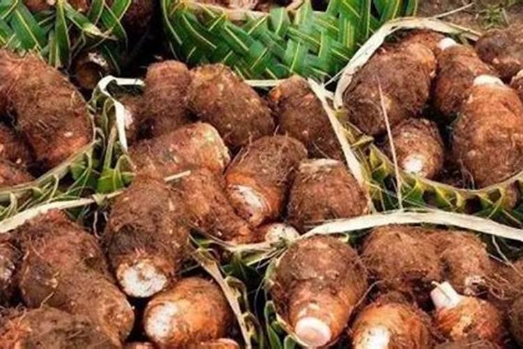 芋头追肥用什么肥料好