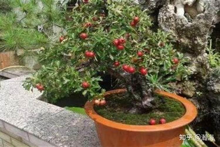 角蛋白浓睫术是什么