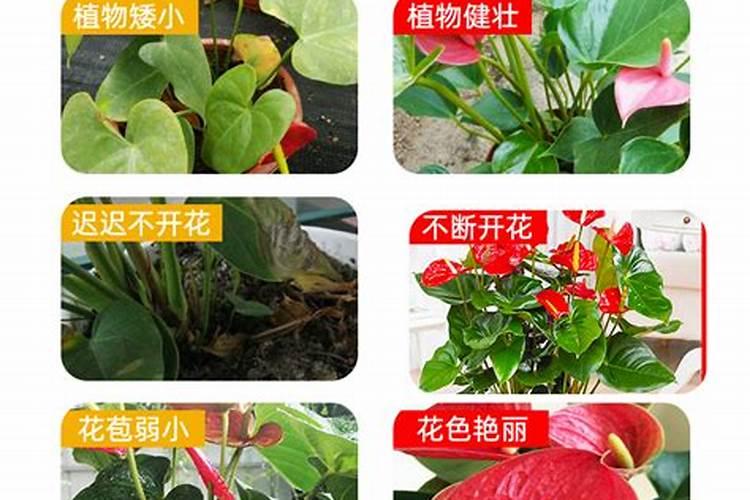 角蛋白浓睫术是什么