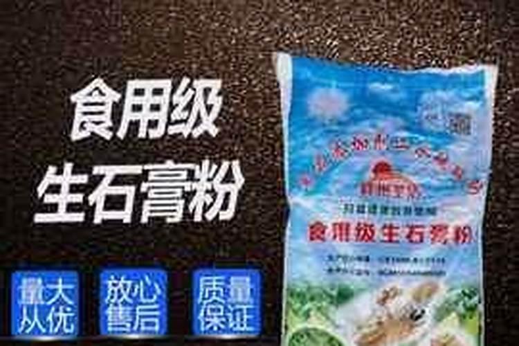 湖南槟榔是如何进行育苗的？