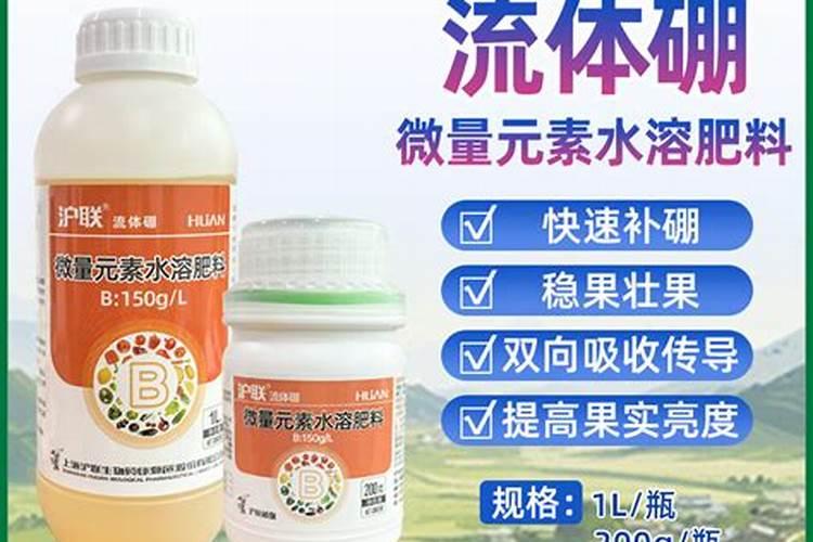 槟榔树怎么种植(详解槟榔树的栽培技术)