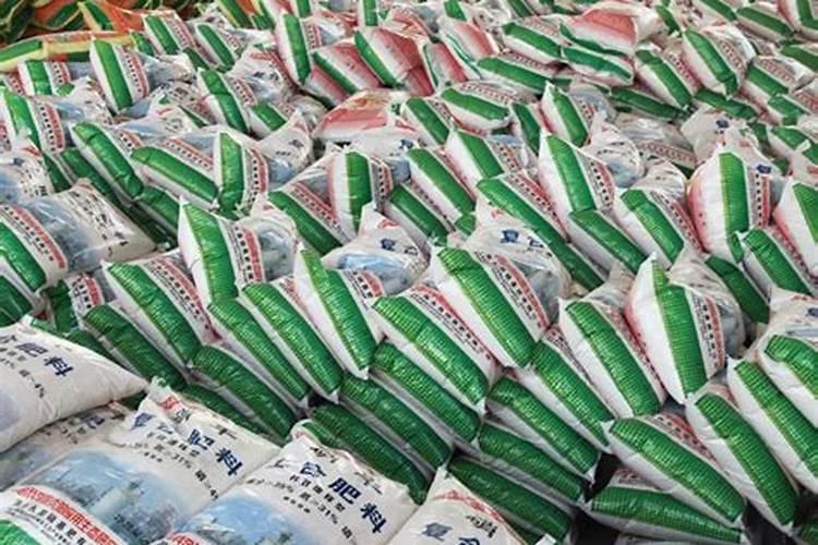 葡萄采摘后什么时候施肥最好