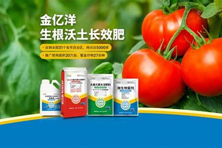春兰施什么肥最好