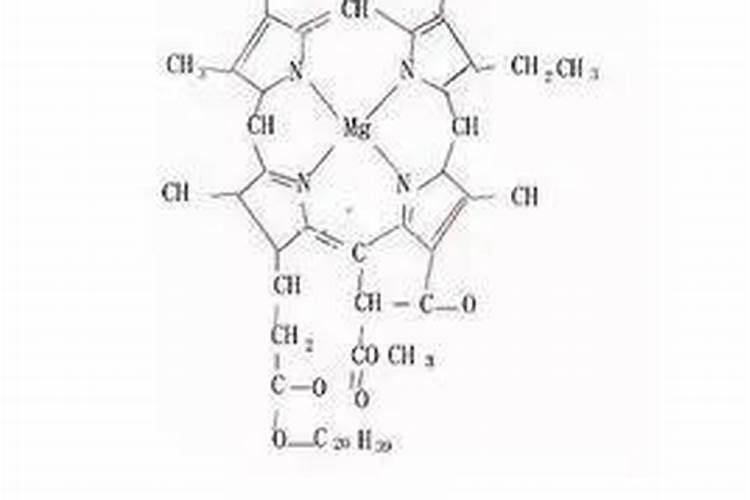 常见的氮肥有哪些 常见的氮肥有什么