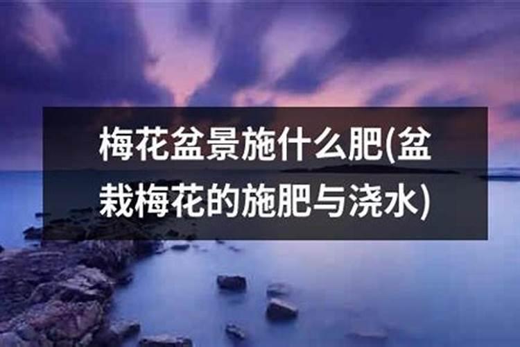 水梅花用什么肥料