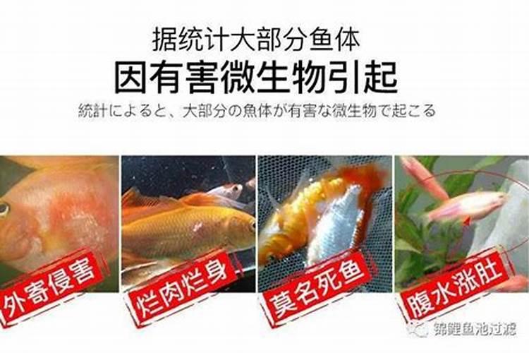 洒化肥鱼会起浮吗