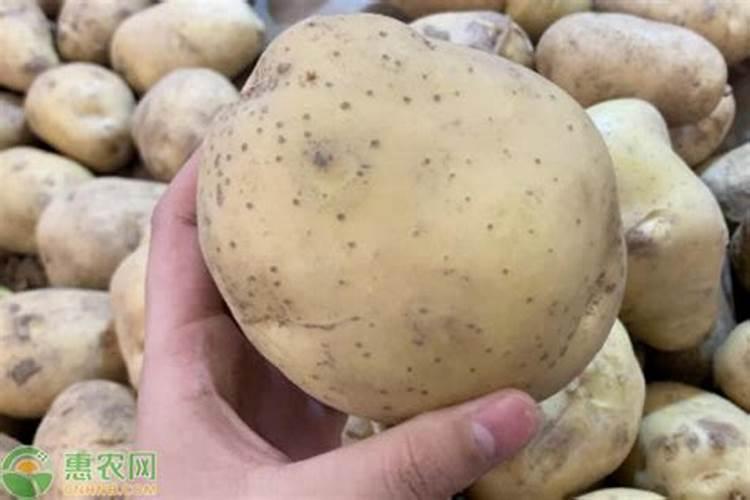 叶面肥的使用方法