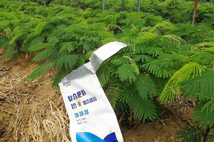 钾肥的缺乏和过量对草莓有什么危害？