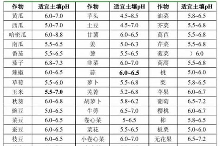 四川自贡氮肥生产厂家有哪些