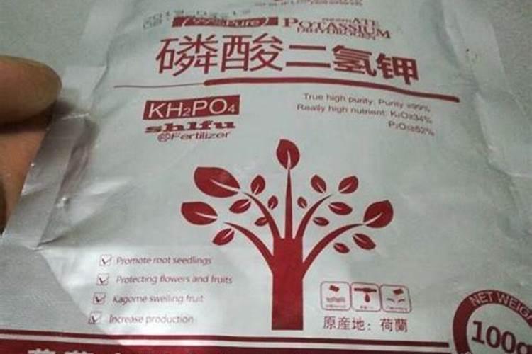 多肉施肥用什么肥料