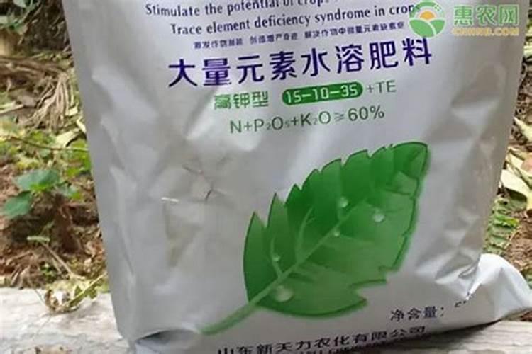 多肉施什么肥料最好