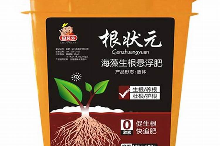 树木种植间距多少合适？