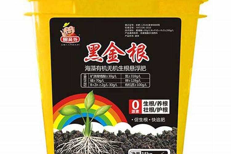 落地生根怎么施肥