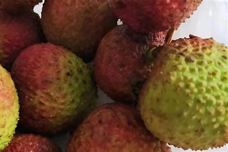 荔枝树什么时候施肥？