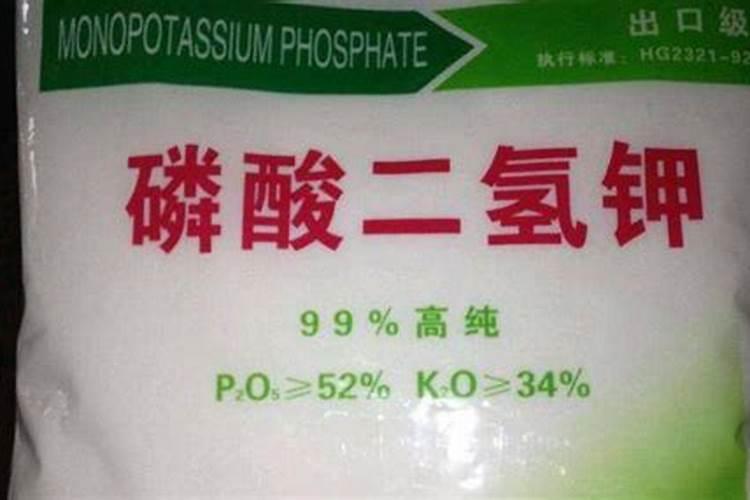 玉米追肥用什么肥料最好