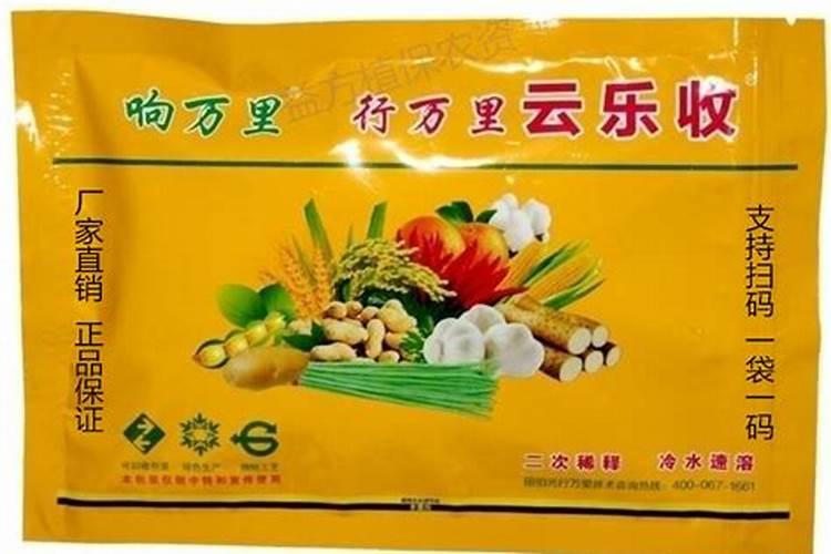 上海适合种牡丹吗