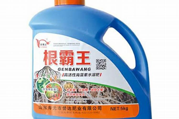 磷酸二氢钾适合哪些花