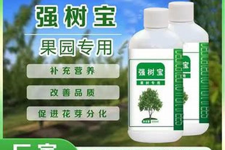 瓜子壳可以做肥料吗