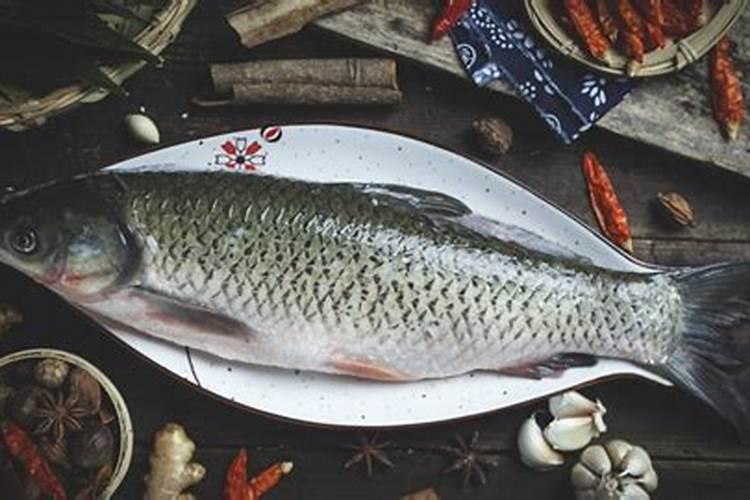 种植过程中草莓需要补钙吗 怎么给草莓苗补钙 草莓缺钙怎么办用什么补...