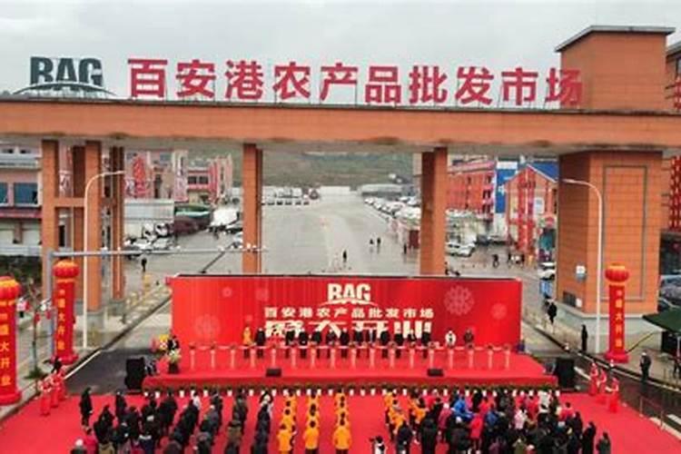 我们项目在重庆我们有几颗中东海枣树,叶片枯黄,应该不是缺水缺肥,哪...