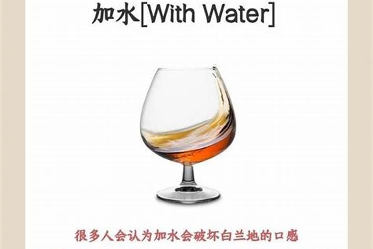 网红植物:各种各样的蔓绿绒及其养护技巧