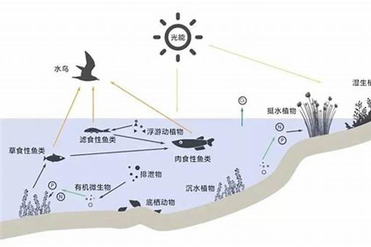 悬浮型大量元素水溶肥(德国EDENN螯合技术生产)