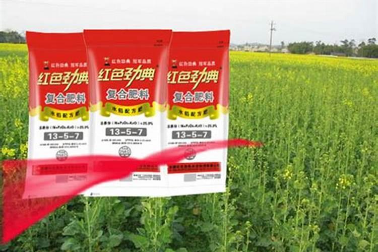 油菜什么时候施硼肥