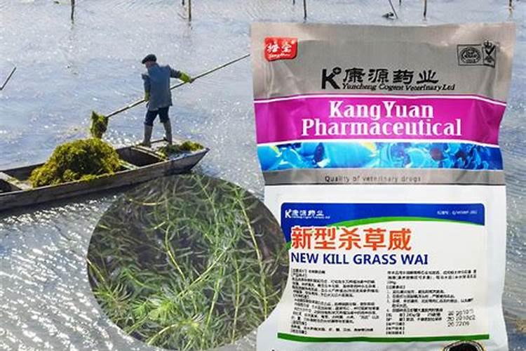 玉米后期需要什么肥料