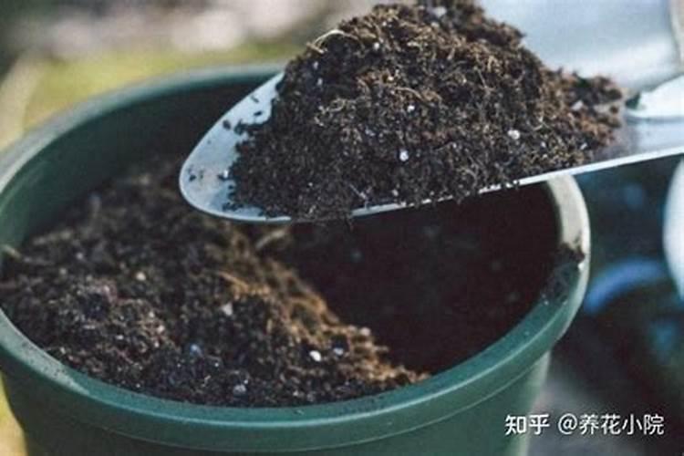 多肽尿素和普通尿素有什么区别？都有什么效果？